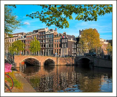 Purple Flower (Amsterdam)