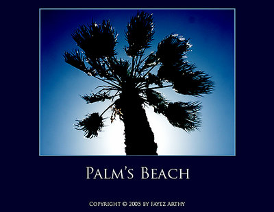 Palm's Beach