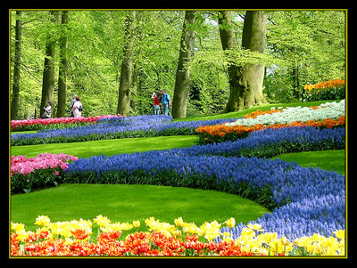 Kuekenhof garden