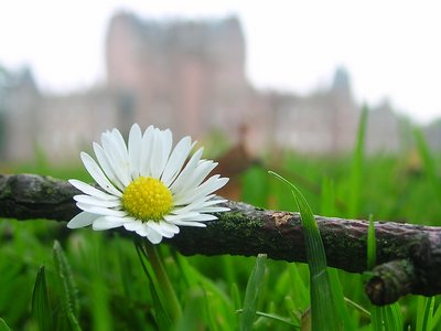 Daisy and Glamis Castle