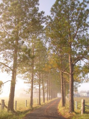 Country Road