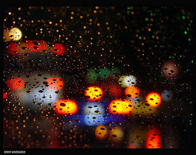 Rainy Windshield