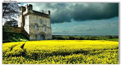 A Caste In Rape Field