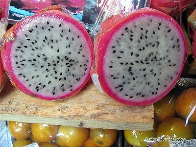 White Pitaya