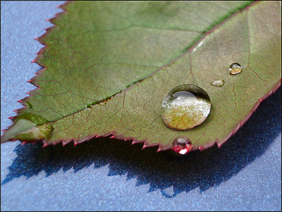 A Drop Of Water