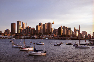 Sydney City sunset