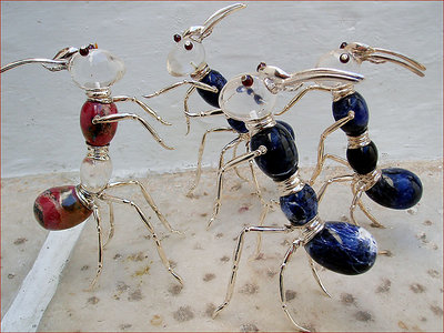 ANTS