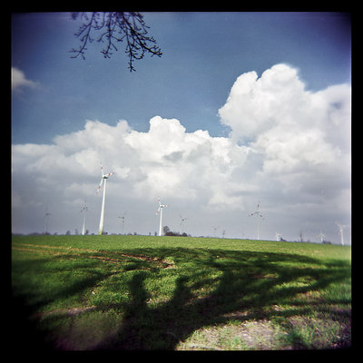 Modern Windmills (Holga)