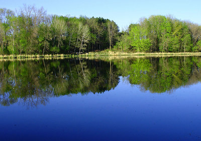 Blue and Green