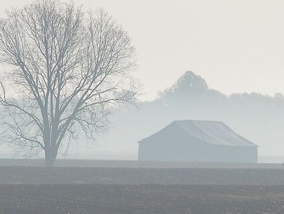 Kentucky Daybreak