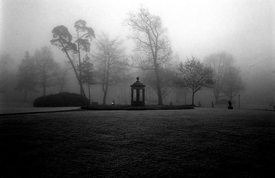 foggy day in the park 2