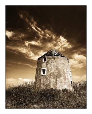 Wind mill