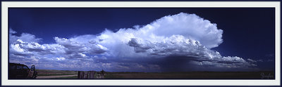 Squal