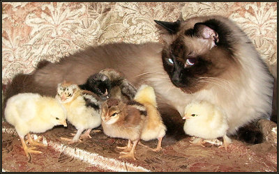 Family picture