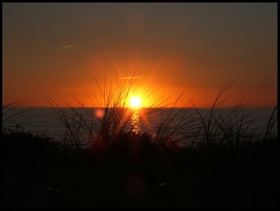 phillip island sunset