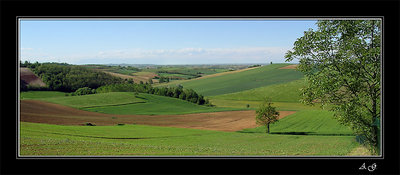 Monferrato