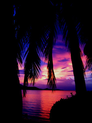 Tropical sunset 2