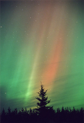 Awesome Aurora