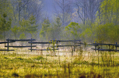 Old Fence