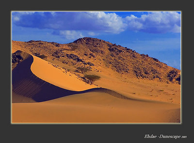 transition dune