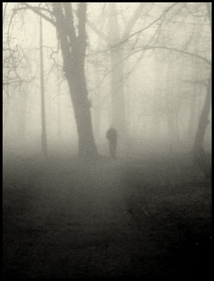 [ fog.4 ]