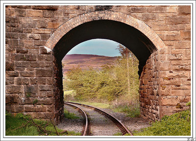 Old Rail Bridge