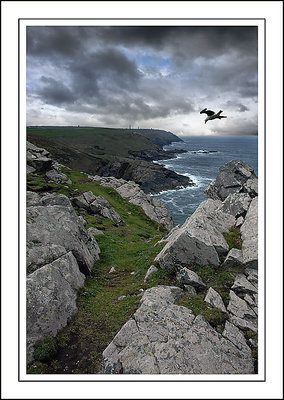 Cliffs near Pendeen