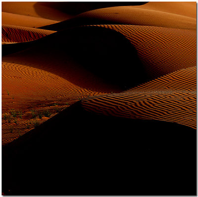 Last Dune