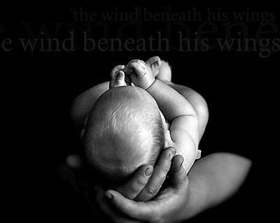 The Wind Beneath His Wings #2