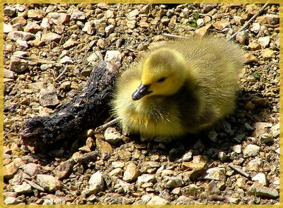 Soakin' up the Sun!