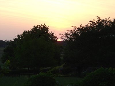 Sunset at Mom's II
