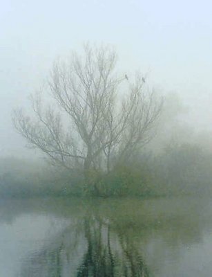 Monet's fog