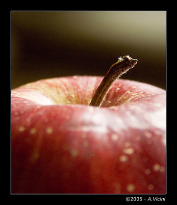 Close to the apple