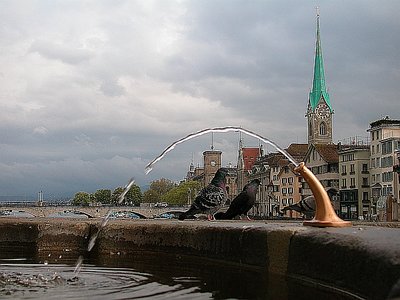 zurich lake