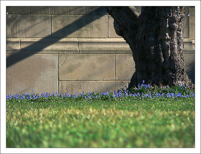 Geometry in Nature