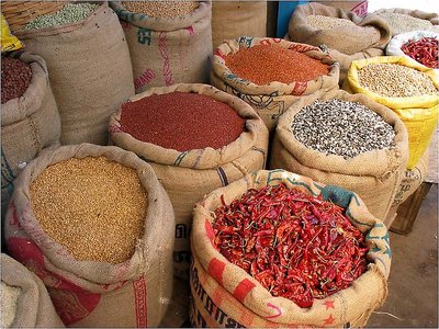 Colourful Indian Spice