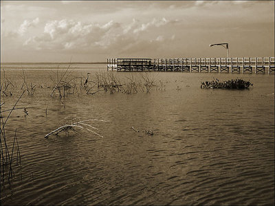 Lake Apopka, FL