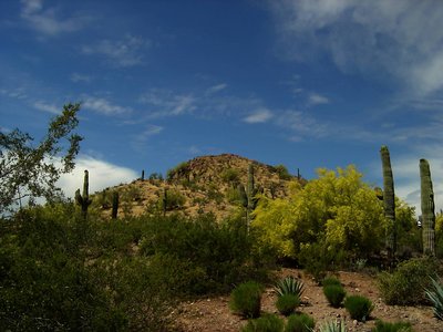 Arizona Hill