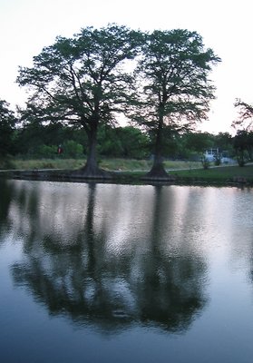 the lake