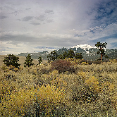 Wind And Dunes