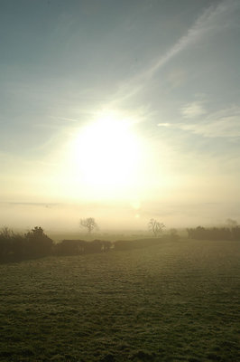 Morning mist