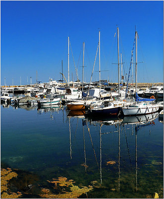 S.Nicola Harbour for Salvo Valenti