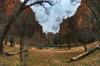 Zion Utah