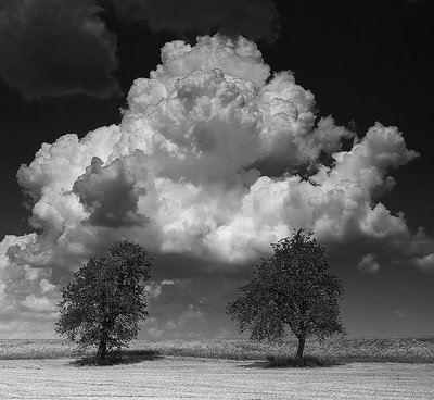 Cumulus