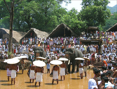 Local Festival