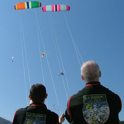 kites