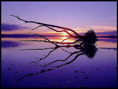 Reflections in the Sand