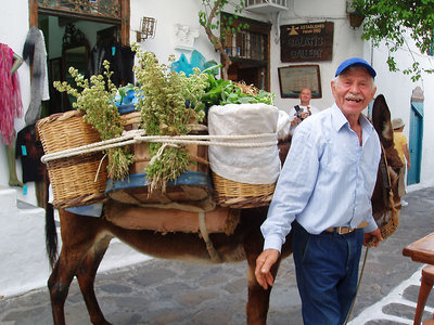 Greengrocer