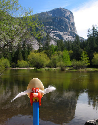 Yosemite Sam at Mirror Lake