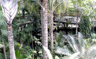 Tropical gardens at ......